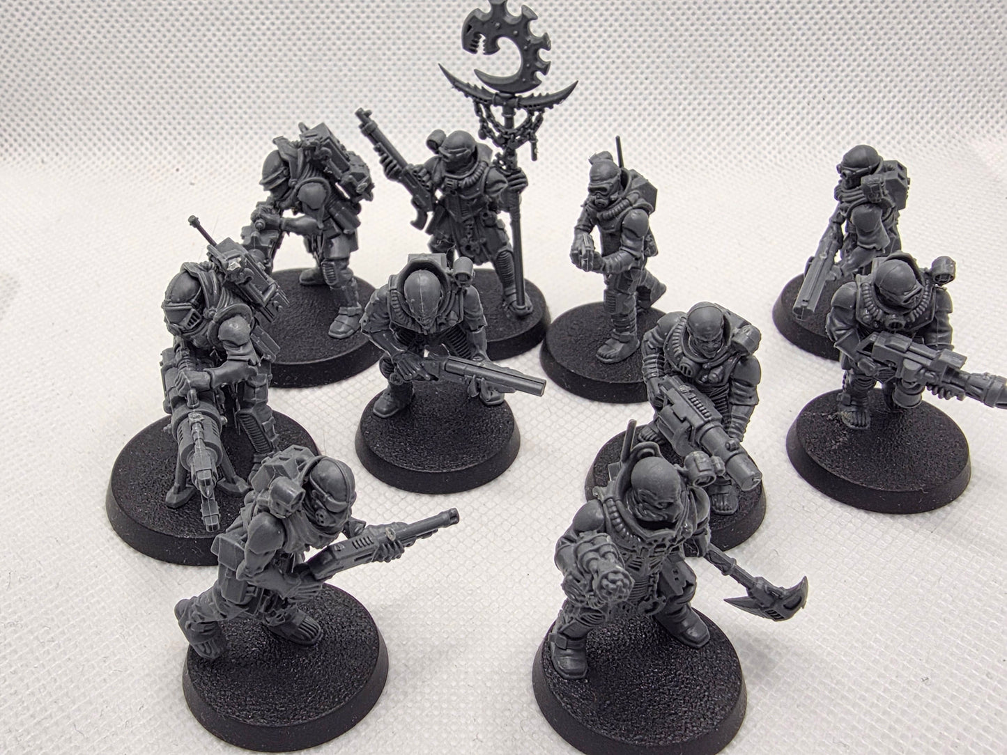 Neophyte Hybrids